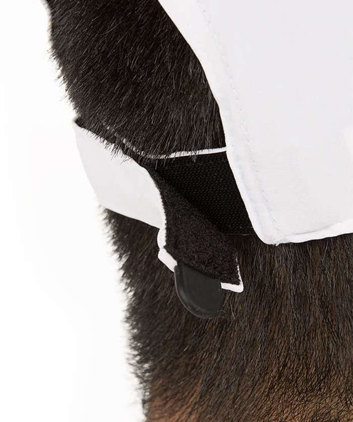 Nike Swoosh Legacy Performance Hat - Game Royal / White