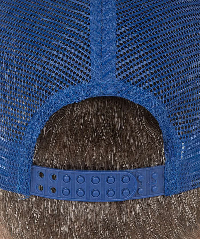 Valucap Foam/Mesh Trucker Hat - White / Kelly