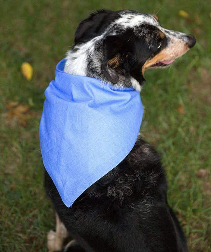 Augusta 100% Cotton Solid Bandana (Corner Design) - Gold