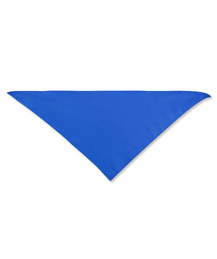 Large Triangle Recycled Pet Bandana - Red