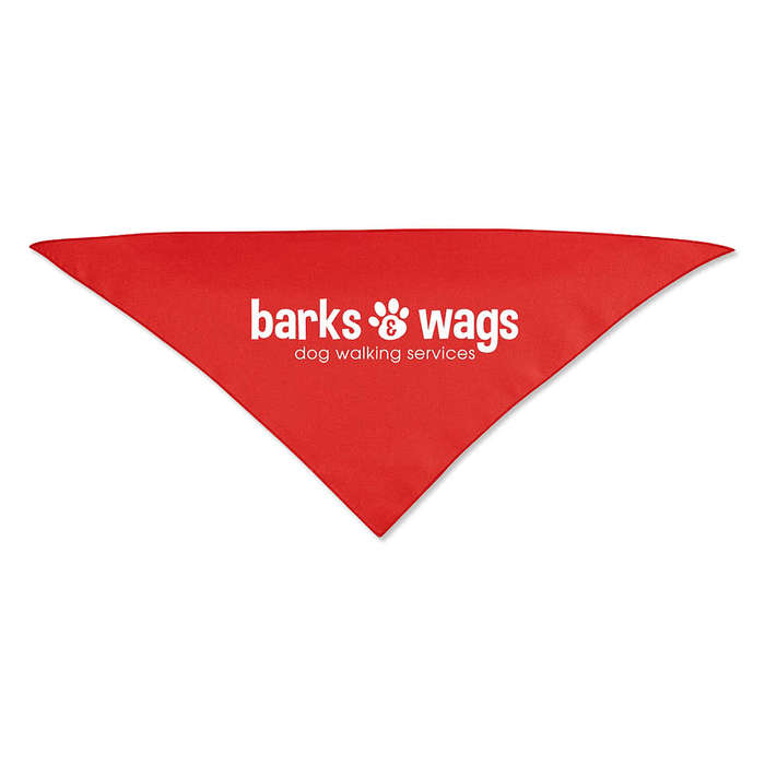 Small Triangle Recycled Pet Bandana - White