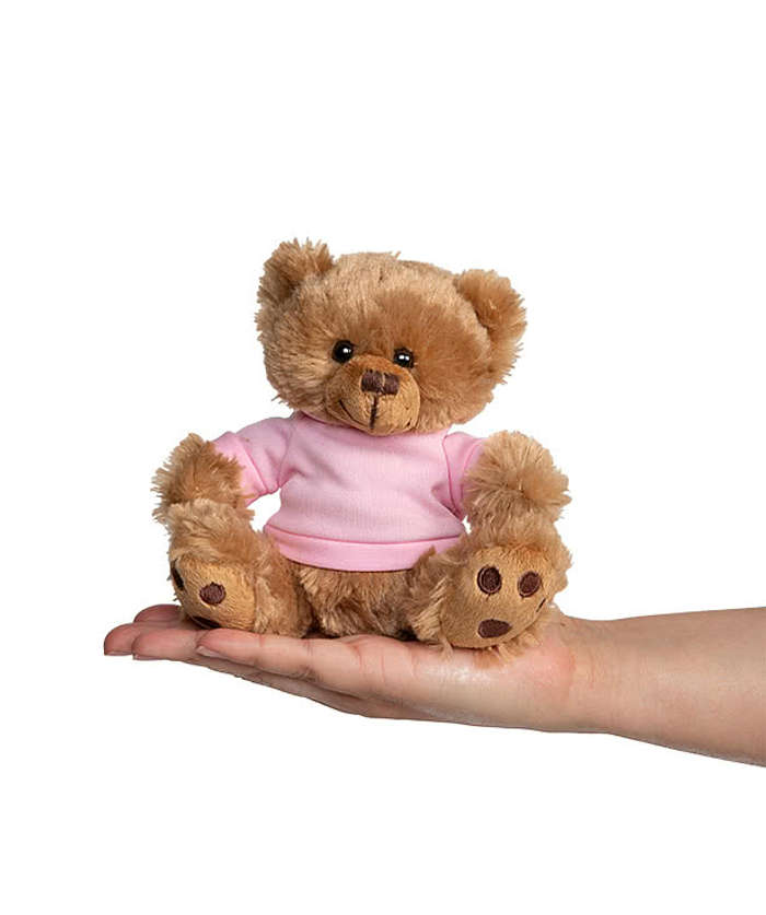 6" Big Paw Brown Bear - Pink