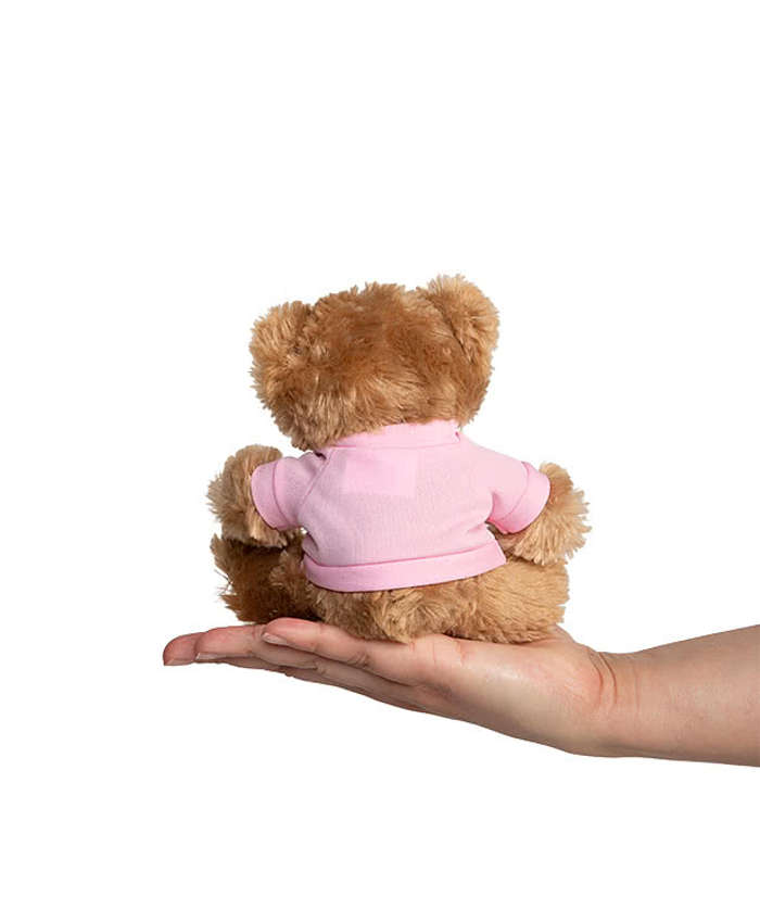 6" Big Paw Brown Bear - Pink