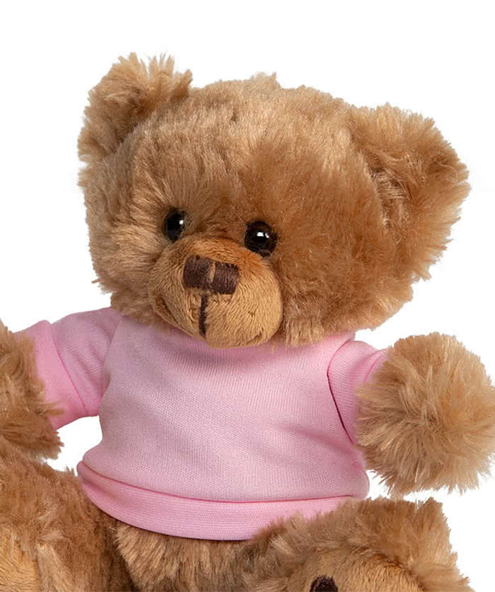 6" Big Paw Brown Bear - Pink