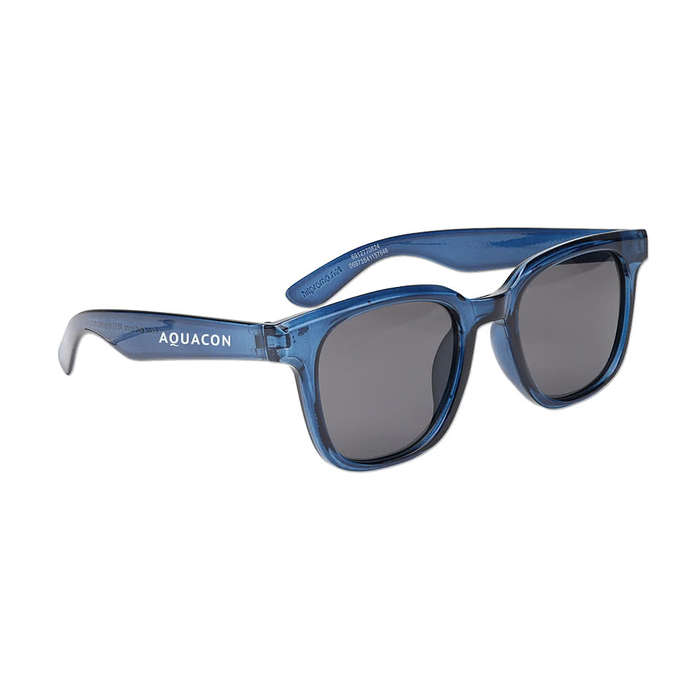 Zander Recycled Sunglasses - Translucent Red with Smoke