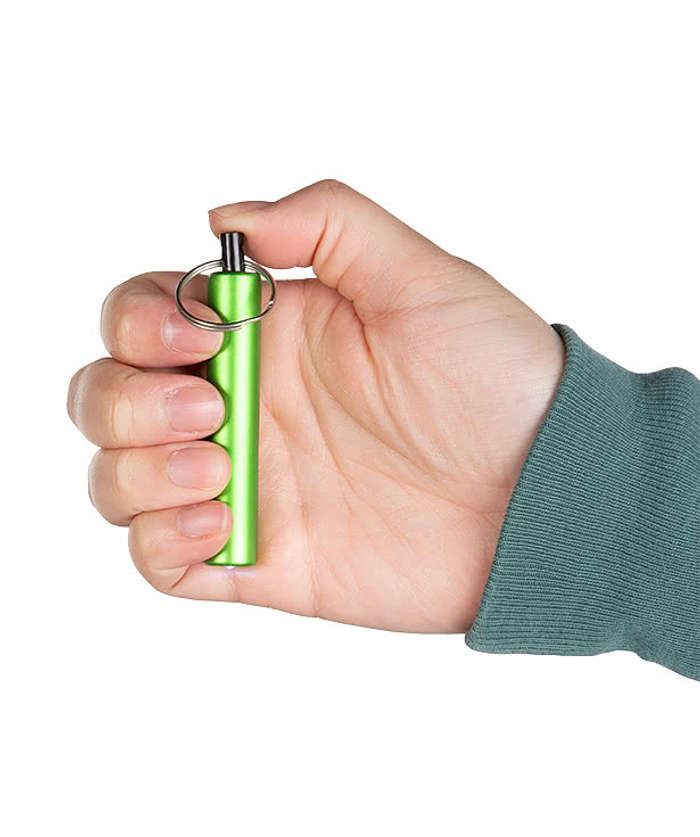 Mini Cylinder LED Flashlight Keychain - Silver