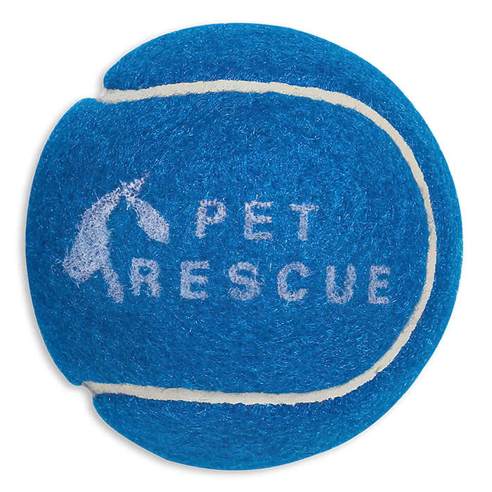 Pet-Friendly Promotional Tennis Ball - Blue