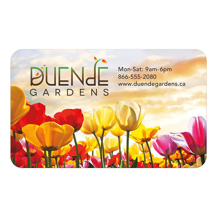 Full Color 20 Mil Jumbo Business Card Magnet - White